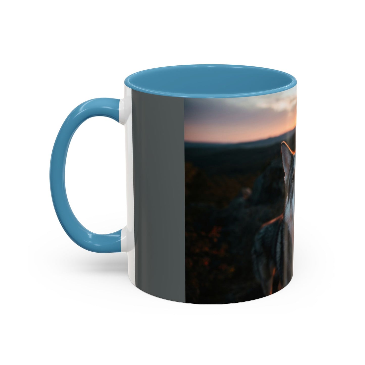 Accent Coffee Mug (11, 15oz)