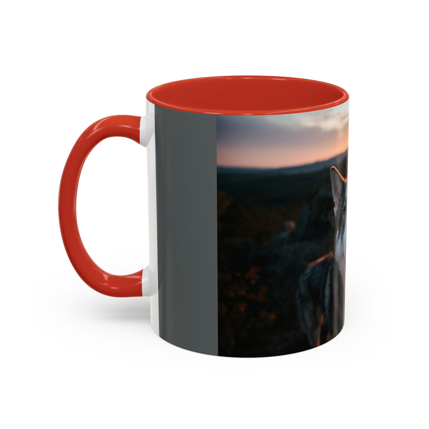 Accent Coffee Mug (11, 15oz)