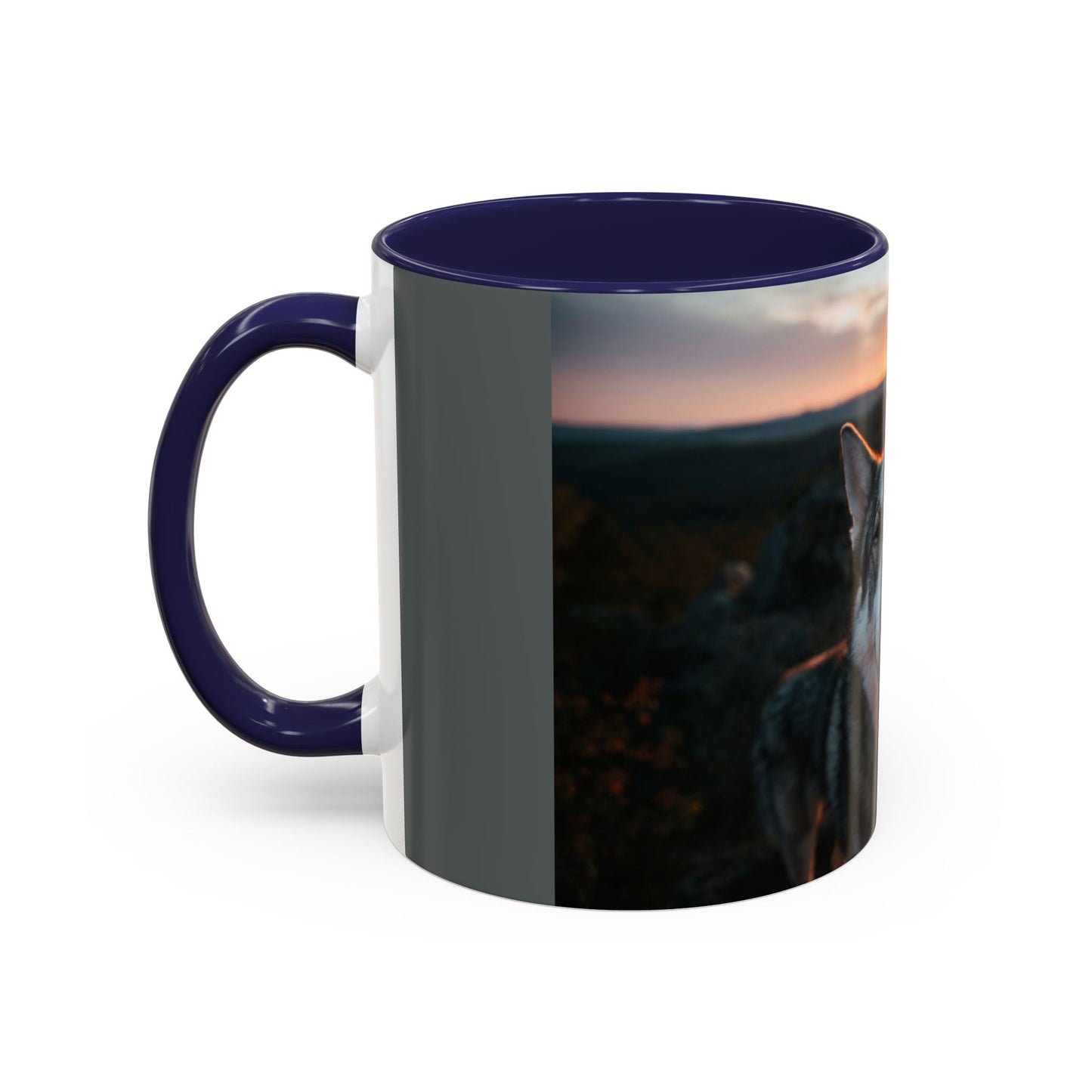 Accent Coffee Mug (11, 15oz)