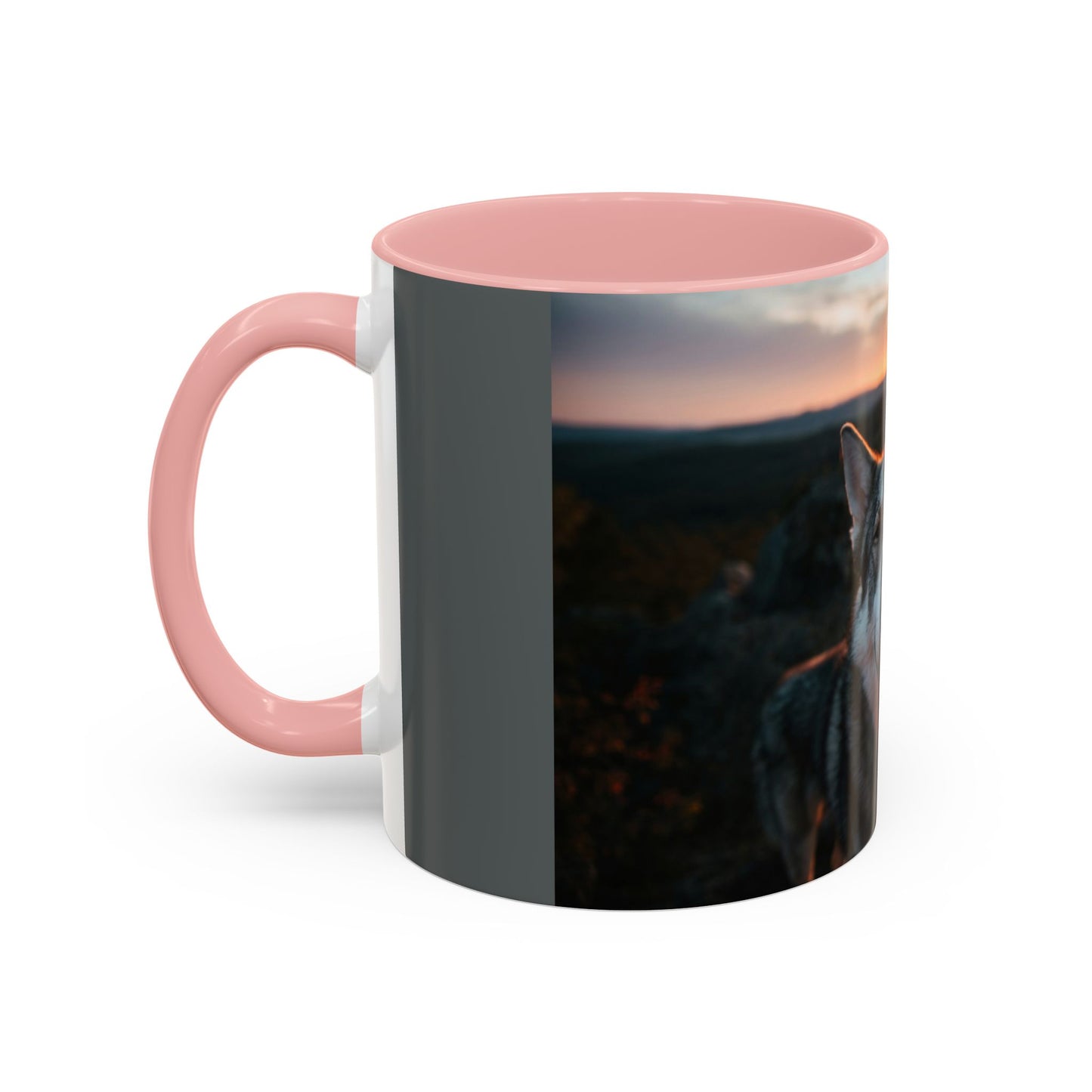 Accent Coffee Mug (11, 15oz)